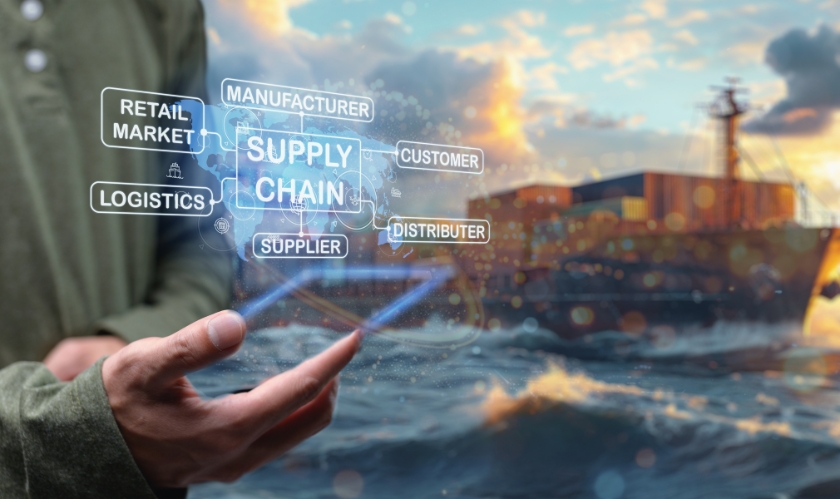 ERP Software Supply Chain Management